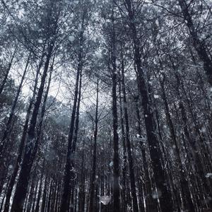 妲己❌爆乳❌妲己自慰
