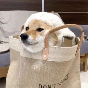 妲己❌爆乳❌妲己自慰
